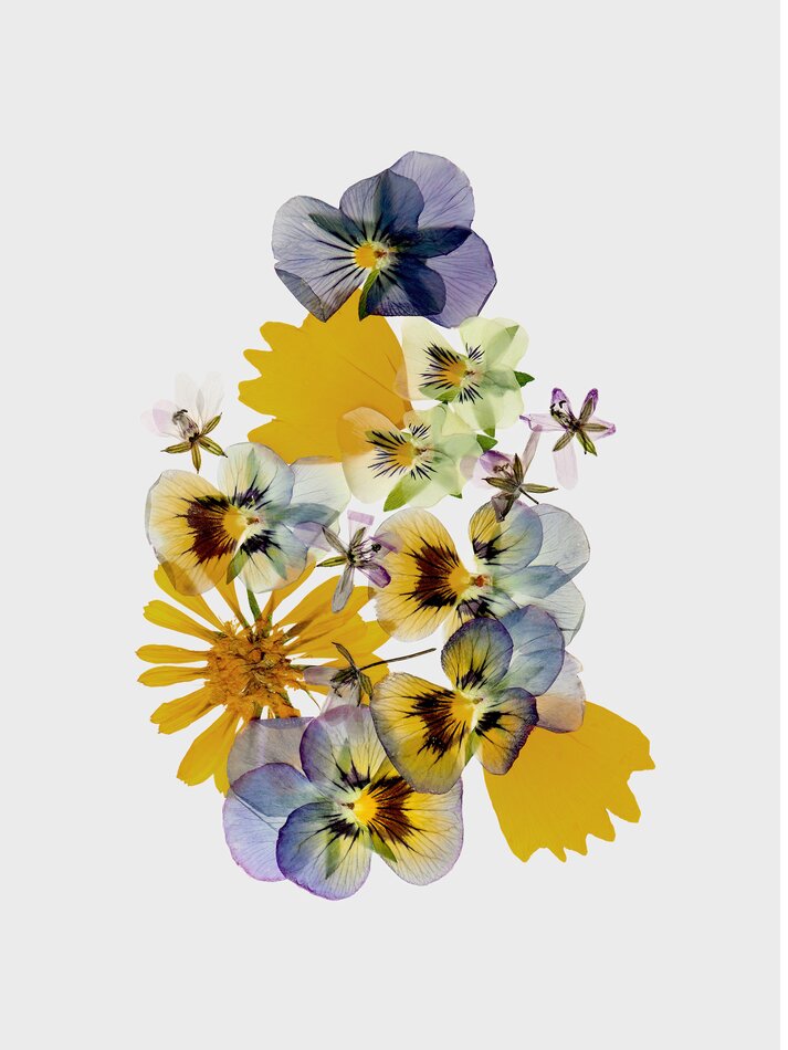 Buquê de Flores Silvestres eau de toilette 100 ml - Verde