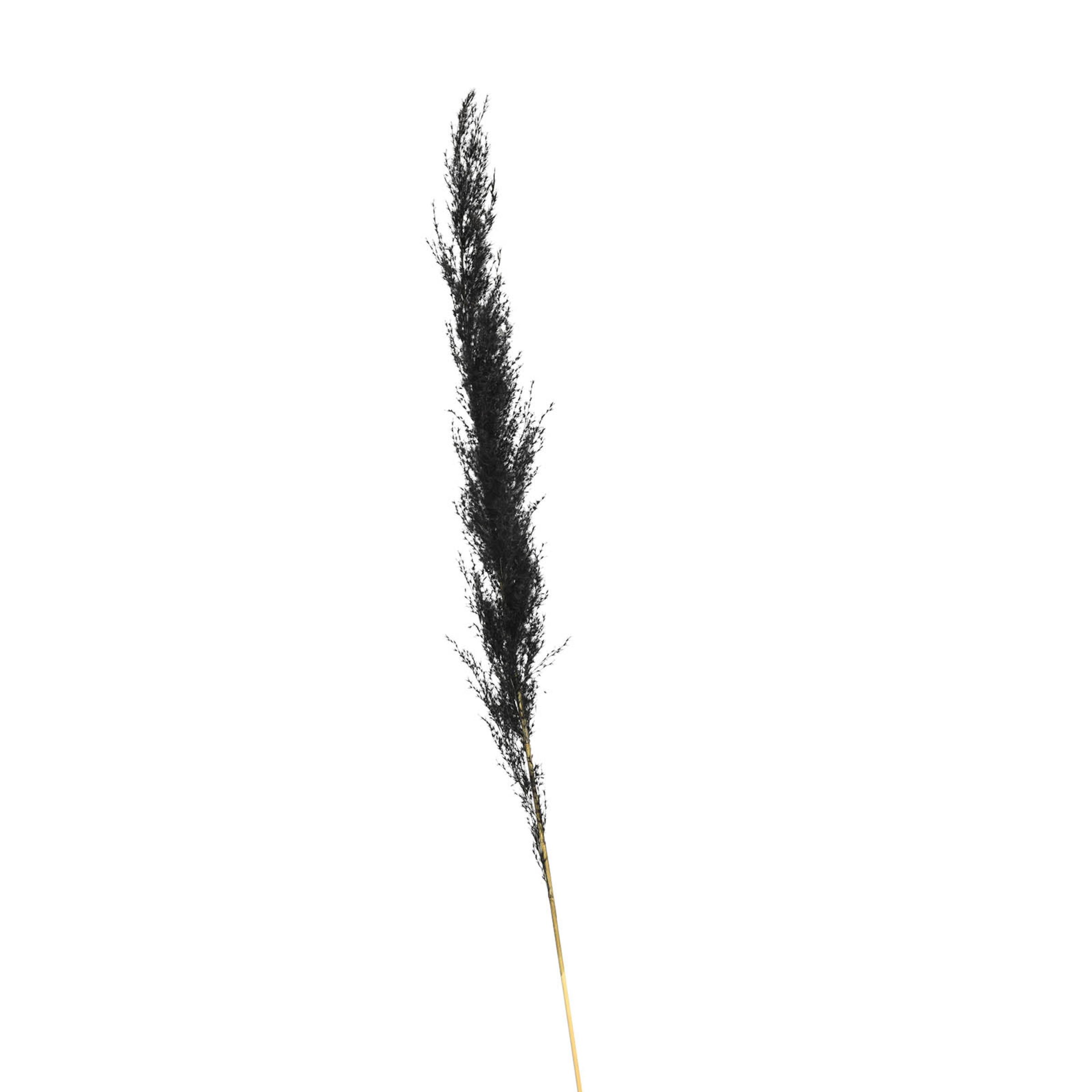 schwarz, L 115 cm
