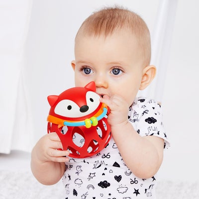Skip Hop Explore & More Rangle Rev