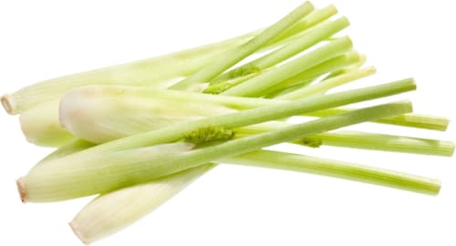 Mini Fenchel, Beutel