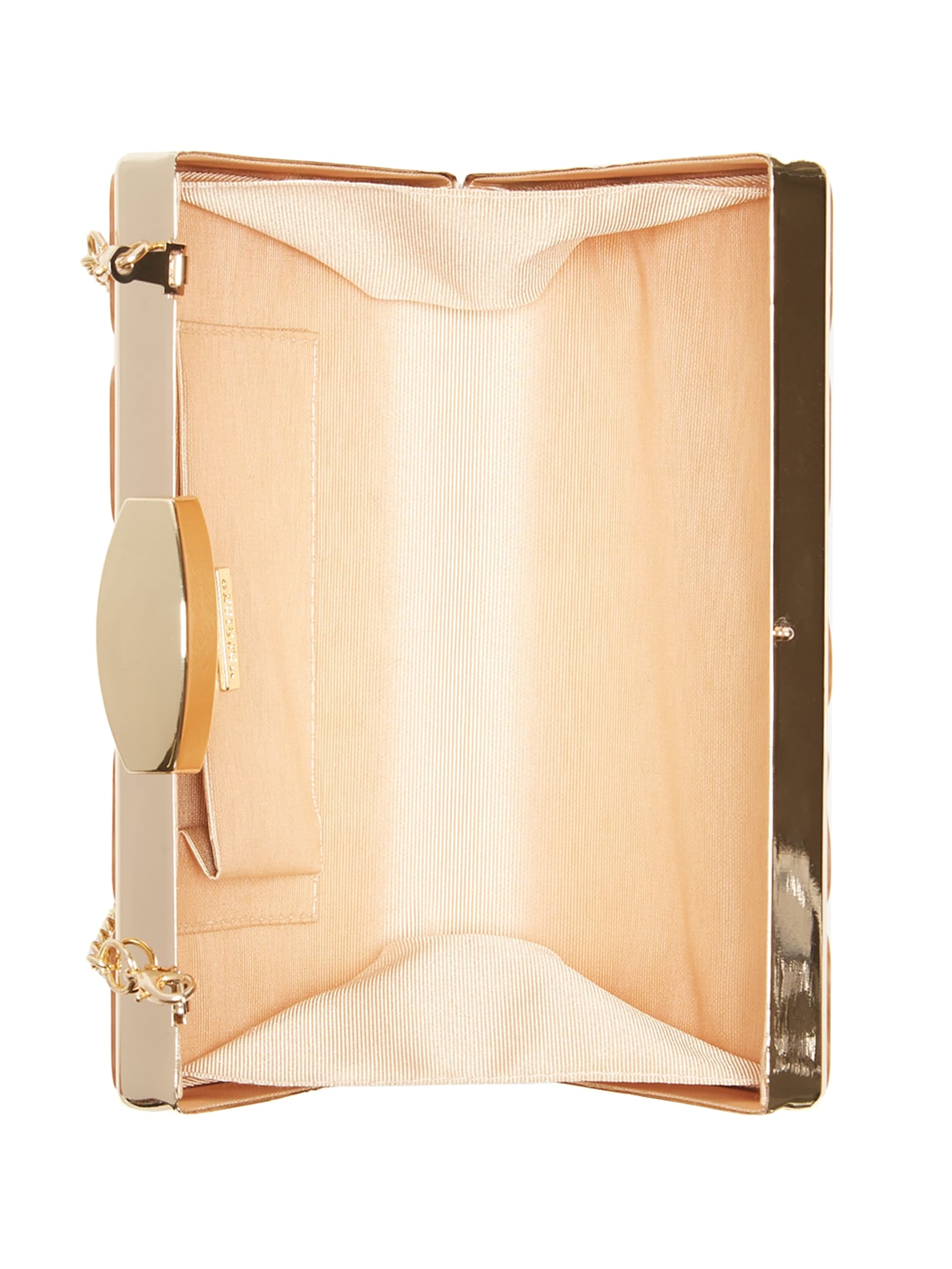 Clutch Emma de acrílico
