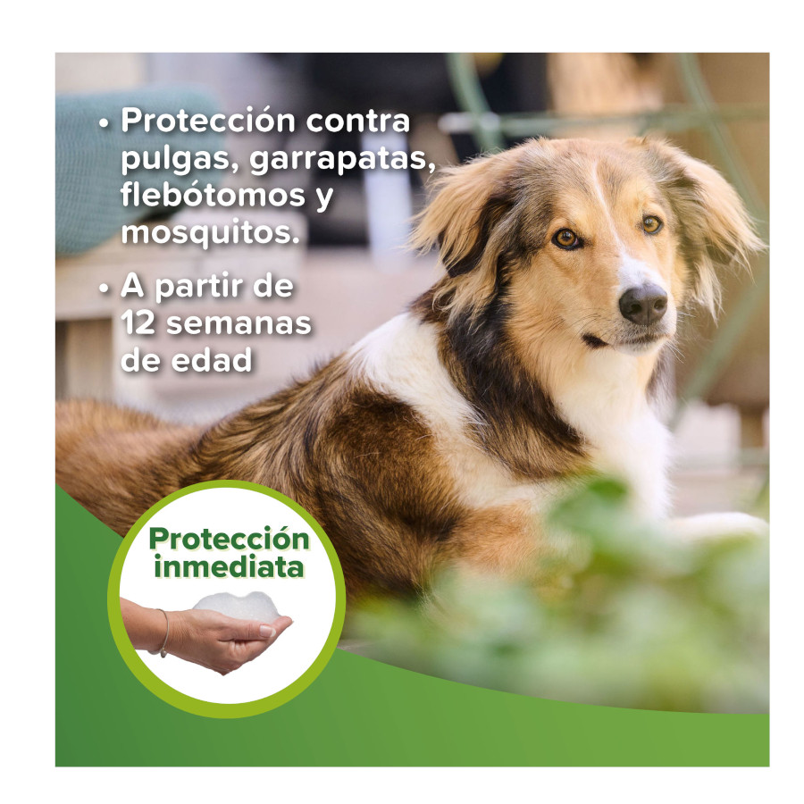 Shampoo repelente Beaphar para cães e gatos