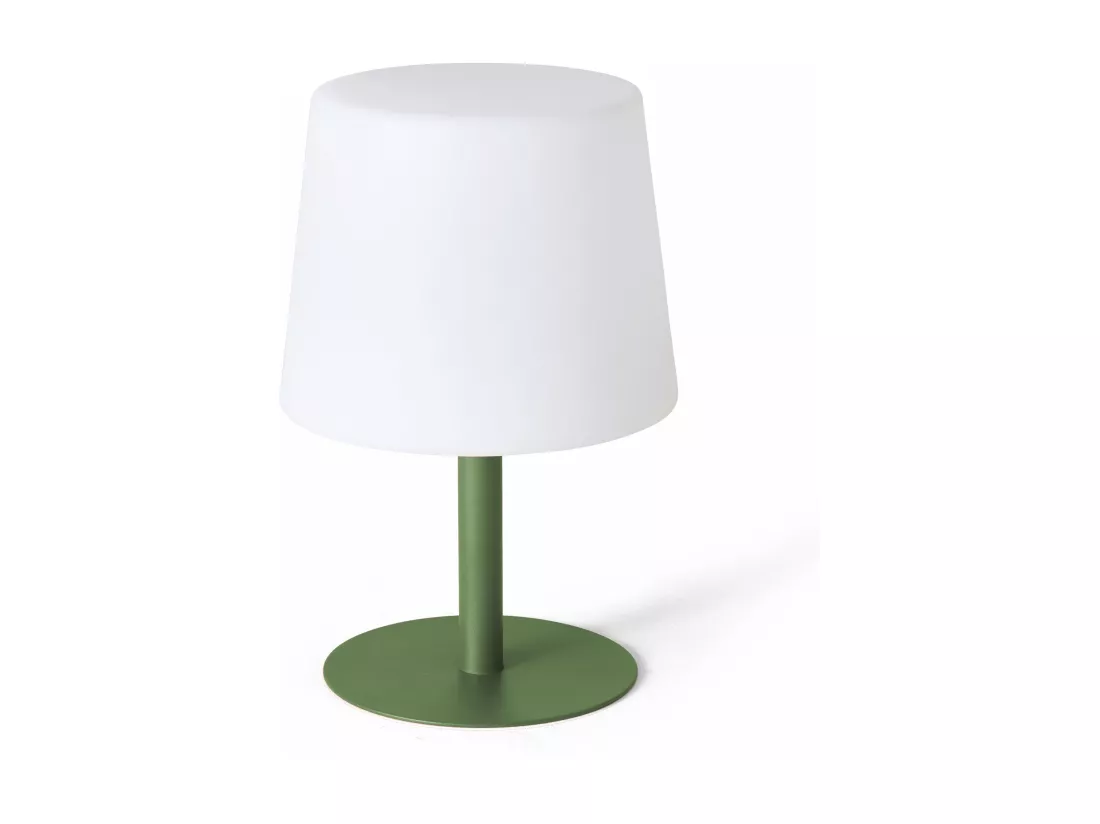 Mini lampe acier vert cactus