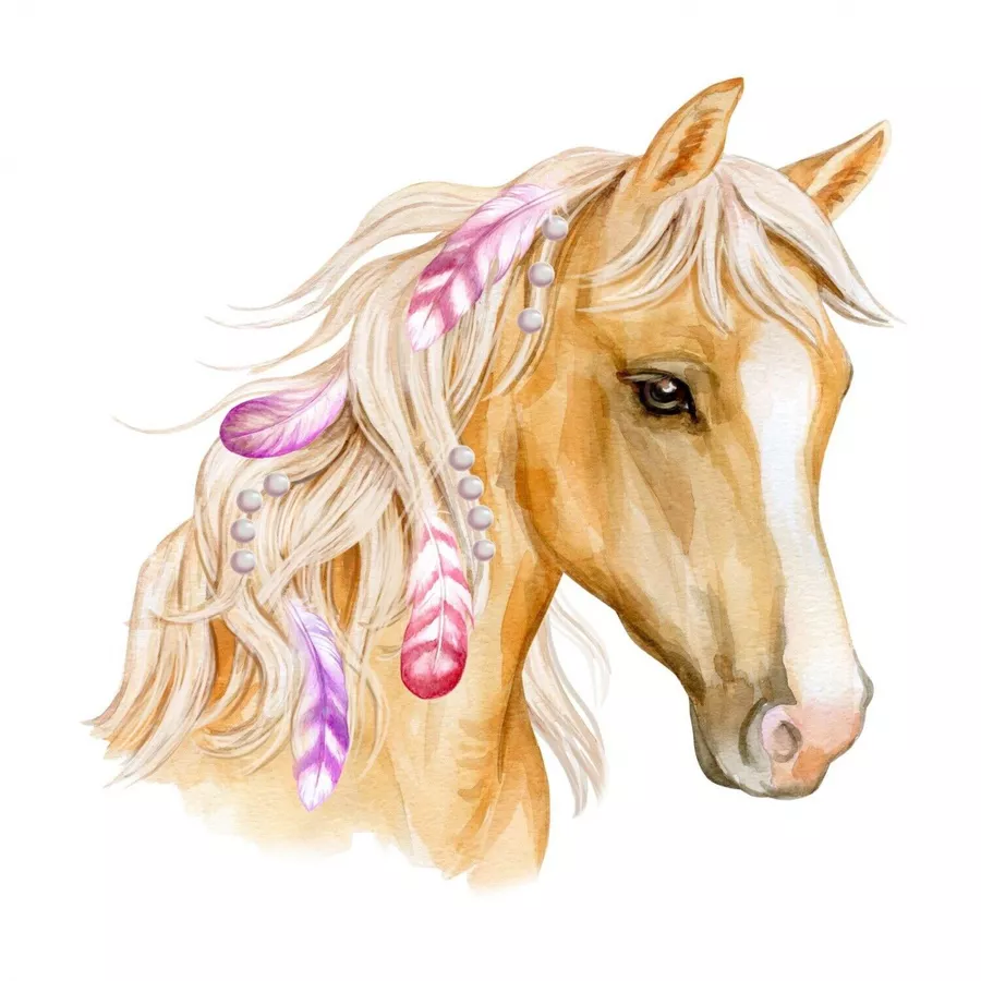 Nikima Wandtattoo 236 Wandtattoo Pferd Kopf mit Federn bunt