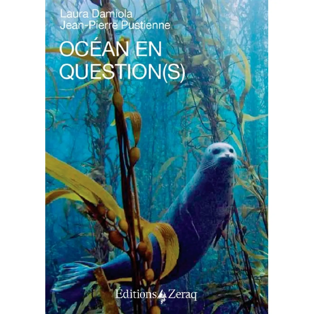 Océan en question(s) : une nouvelle frontière pour l'odyssée humaine · Occasion