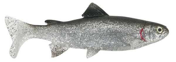 Uni Cat Trout Softbait 15cm (2pcs)