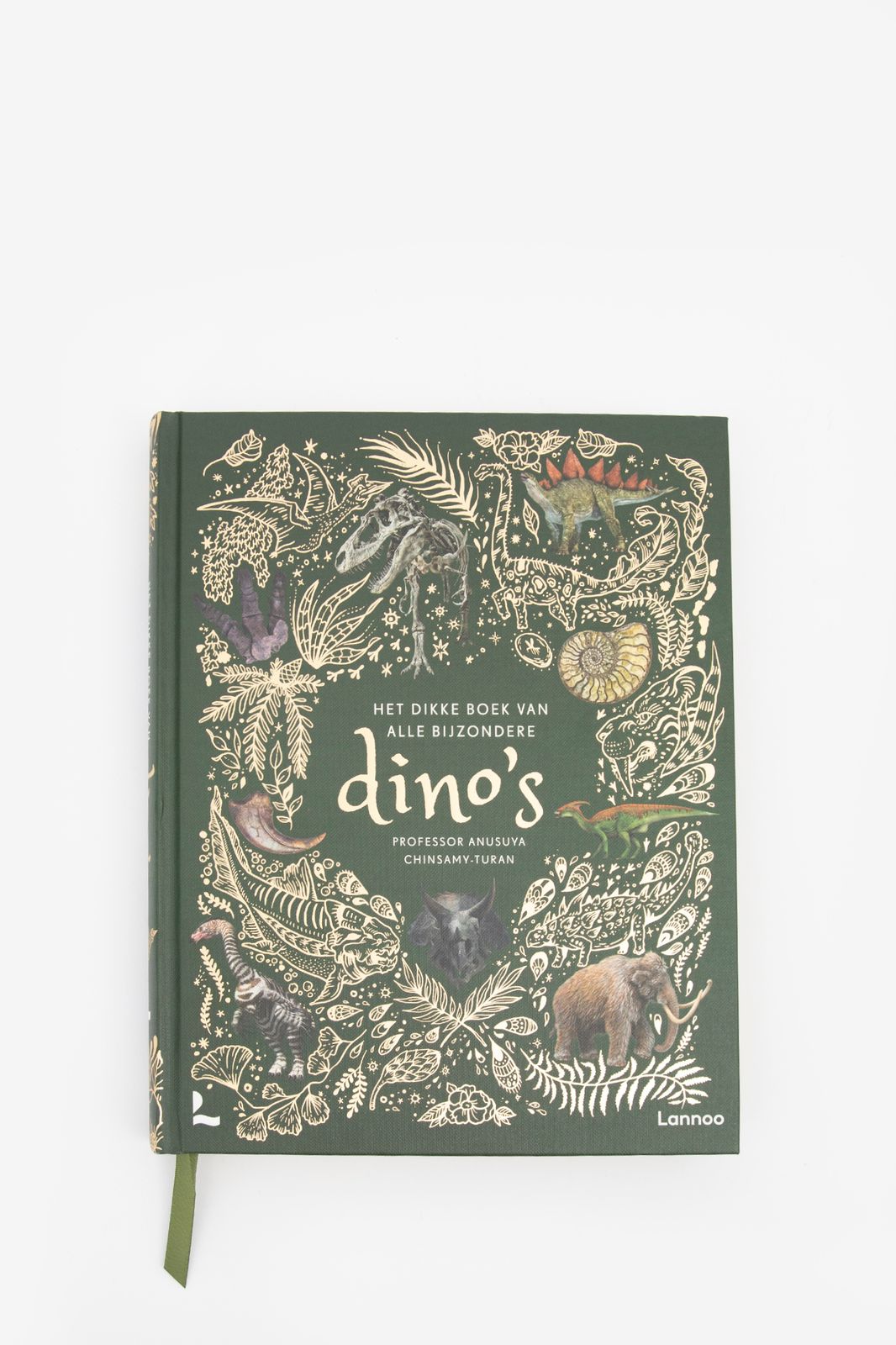Het dikke boek van bijzondere dino's