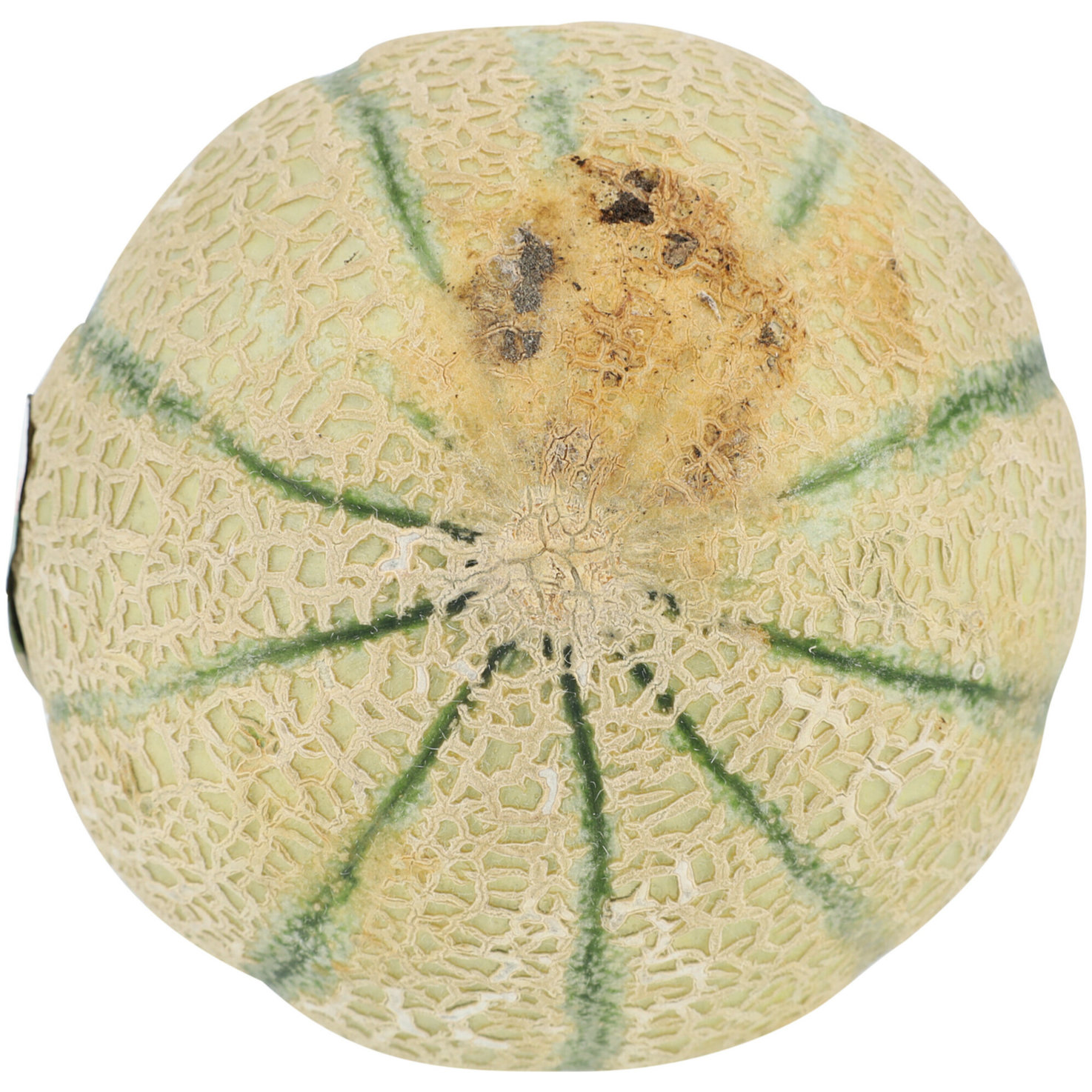 Naturaplan Bio Netzmelone 1 Stück -