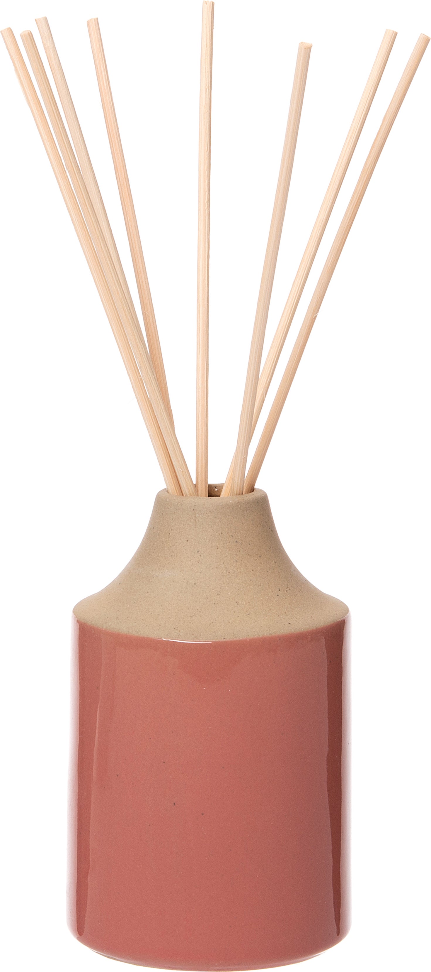 Intratuin geurstokjes Vanilla 100 ml