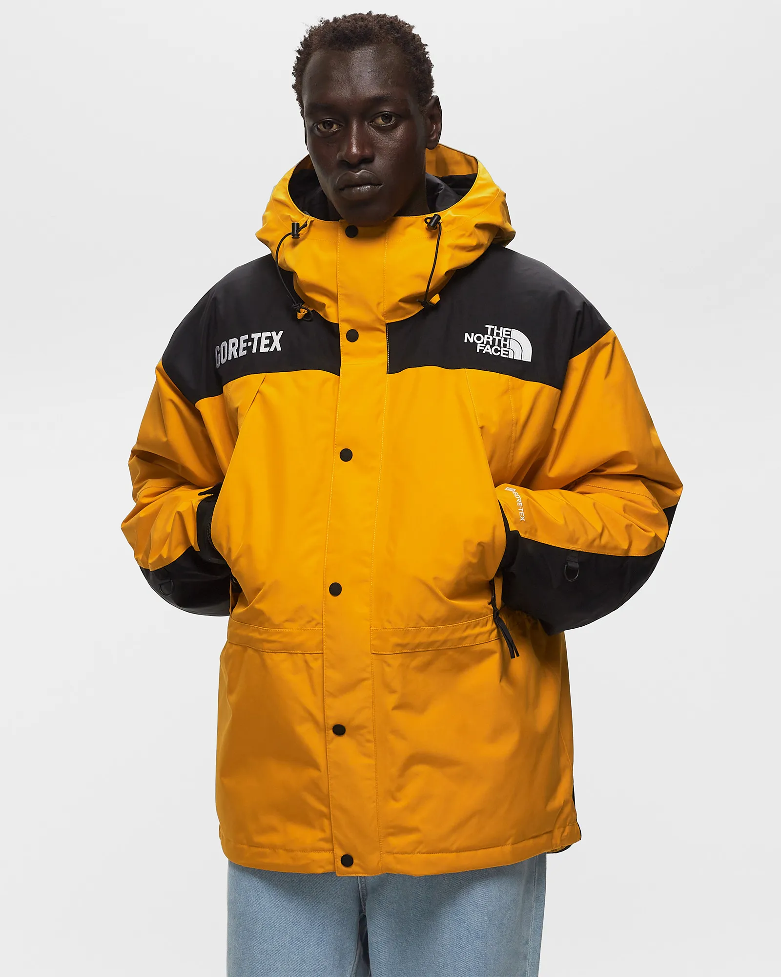 The North Face GTX Mtn Guide Insualted Jacket