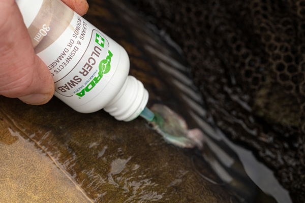 Kit Korda Carp Care
