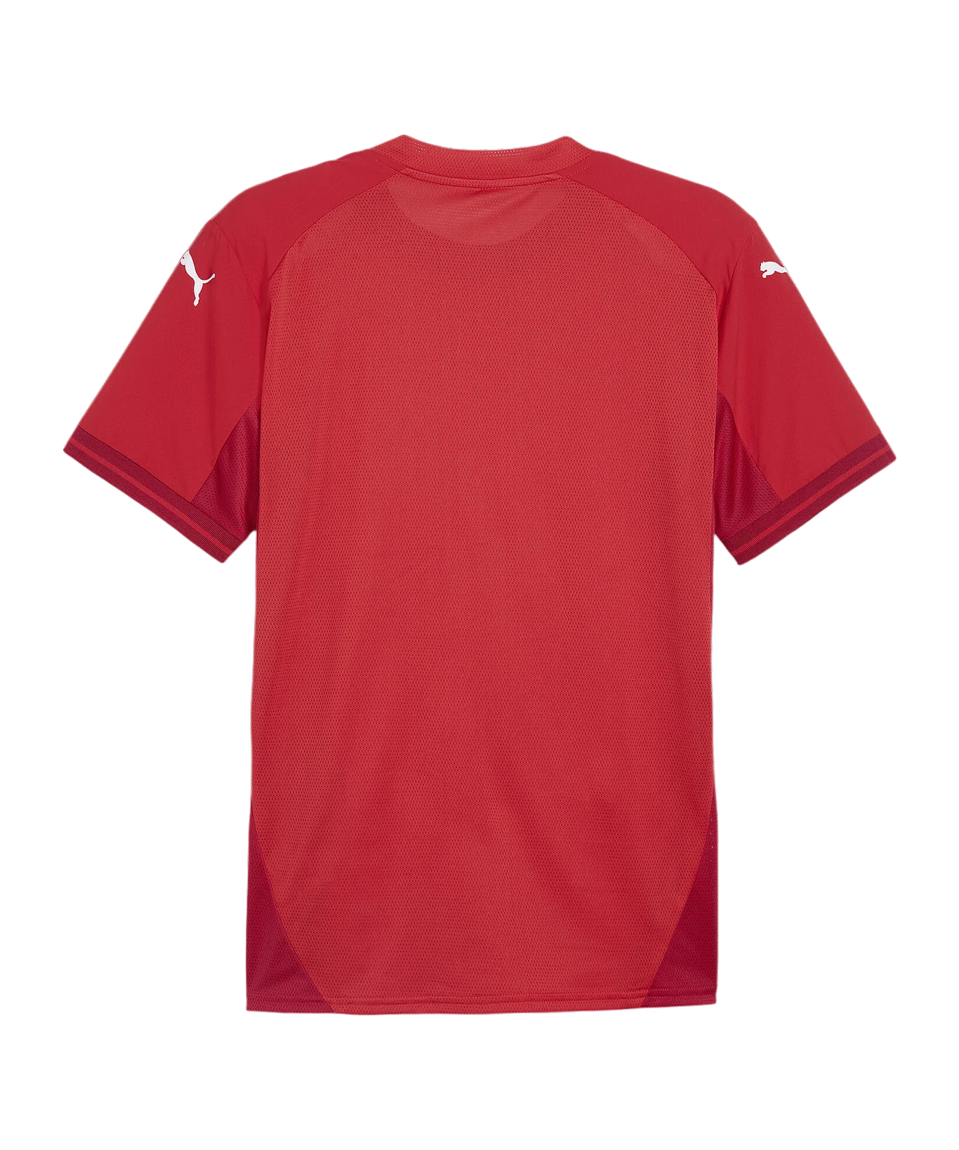 PUMA teamFINAL Trikot Rot Weiss Rot F01