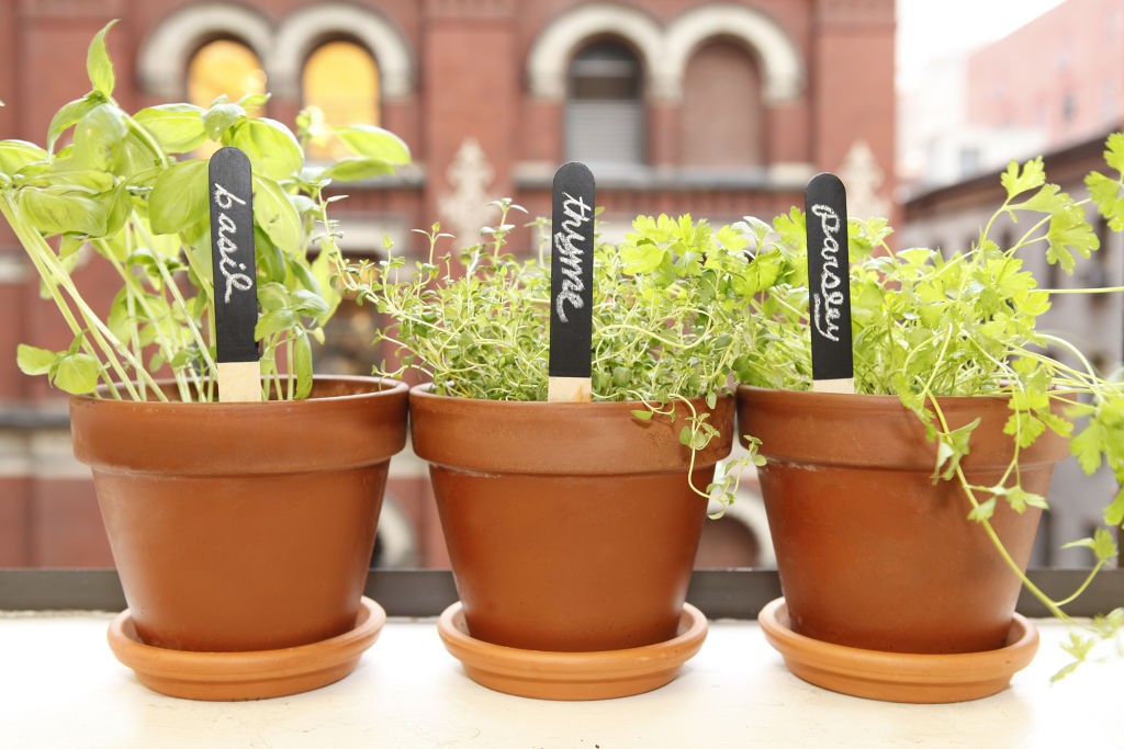 Reusable Garden Markers (GA06)