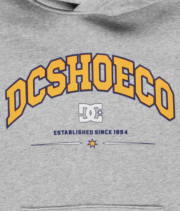 DC Orientation Hoodie kids (heather grey)