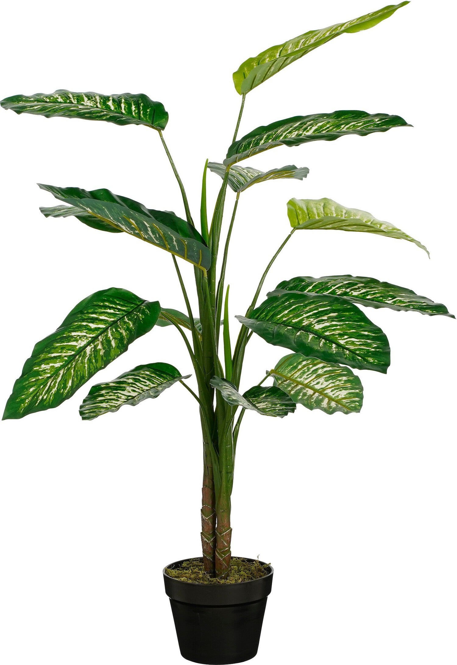 Mica Decorations kunstplant Dieffenbachia groen H 100 D 70 cm