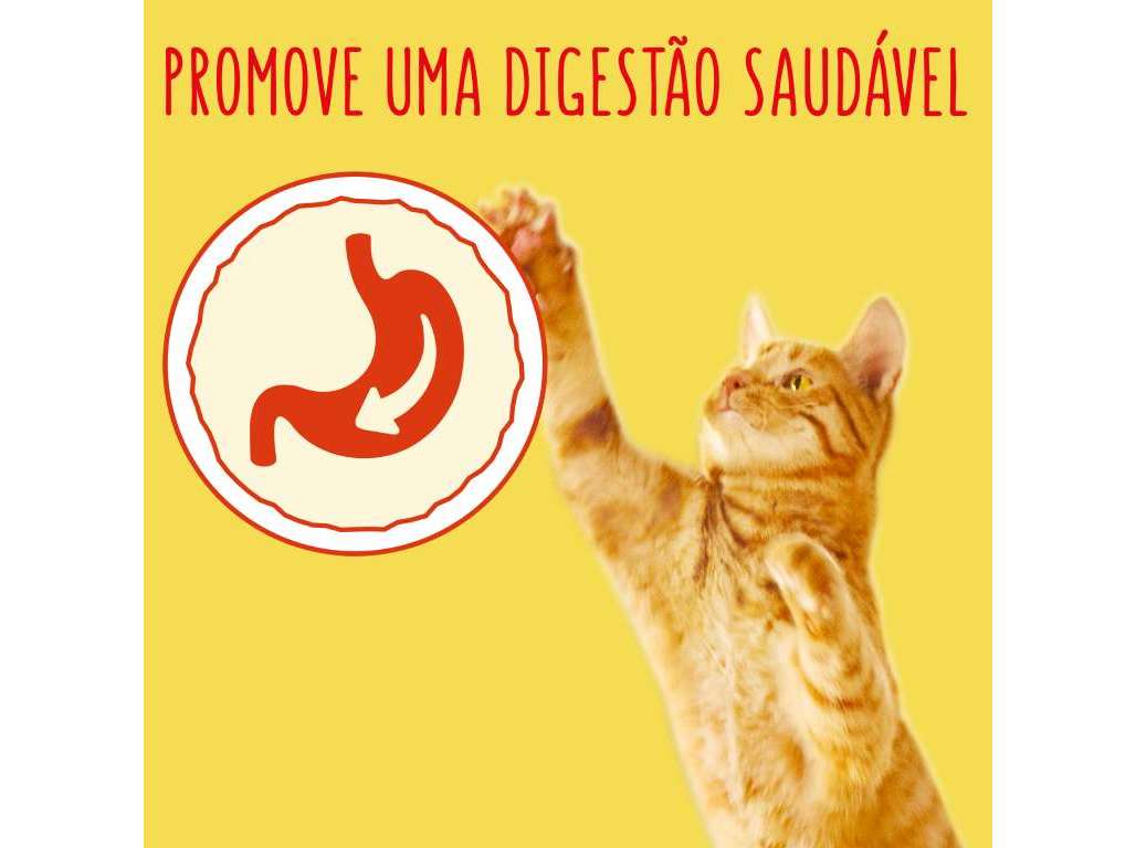 RAÇÃO PARA GATO FRISKIES COM ATUM E LEGUMES 400G