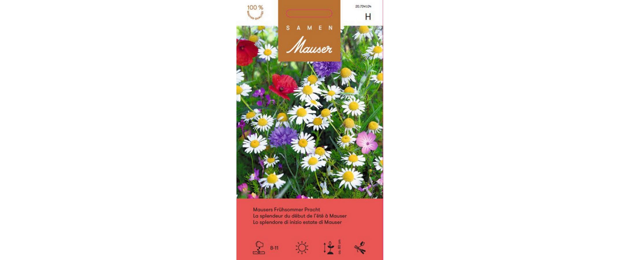 Mausers Frühsommer PrachtBlumensamen