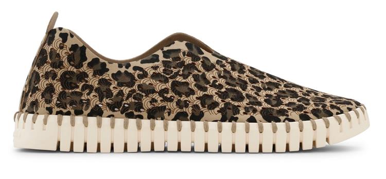 Ilse Jacobsen Tulip 3275 Latte Pearled