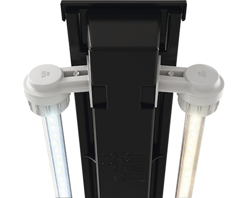 JUWEL Vision 450 aquarium inclusief LED-verlichting, verwarming, filter, zonder kast, licht hout