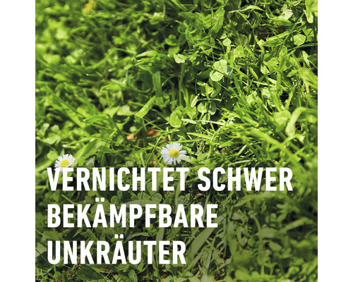 Onkruidverdelger voor gazons COMPO Banvel® Quattro 10 ml 10 m² Enkele dosis