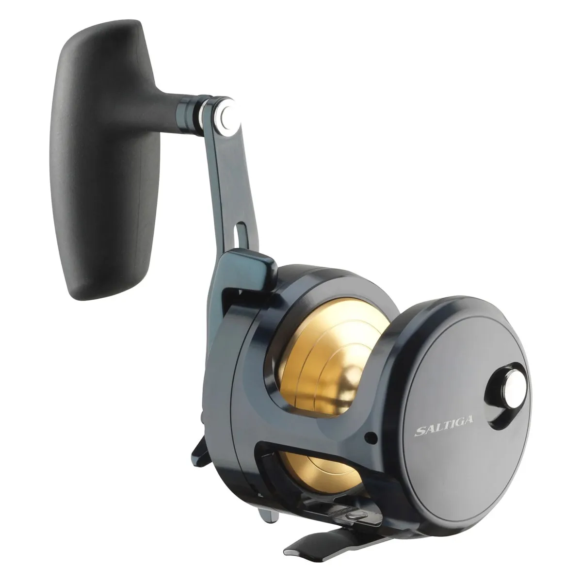 Daiwa 24 Saltiga (G)