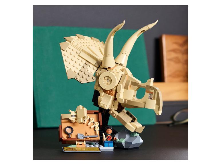 Dinosaurusfossielen: Triceratops schedel 76969