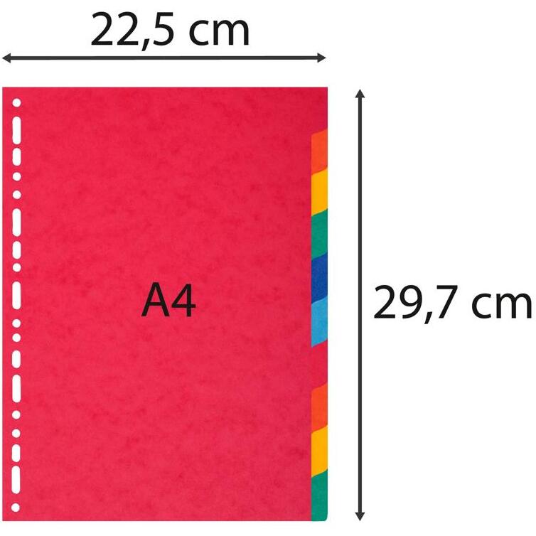 Intercalaires A4 carte lustrée 225 g 10 positions