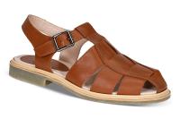 Iberis 164602-21 Brun