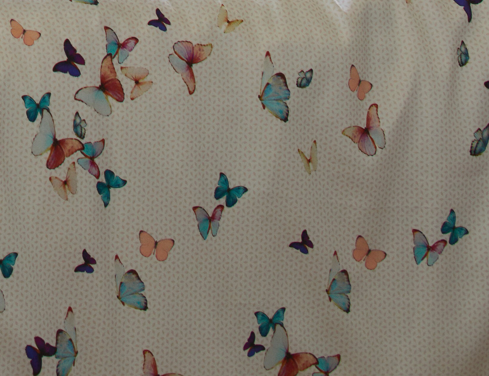 ESPRIT Bettwäsche Spring Butterflies mit bunten Schmetterlingen