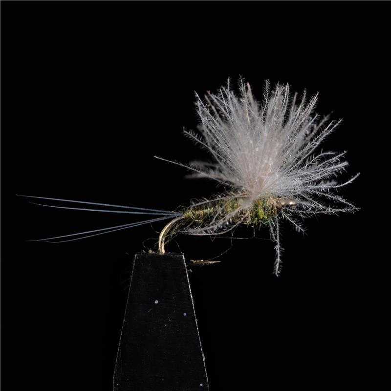 Mouche Jmc Emergentes Jmc 21 - Par 3