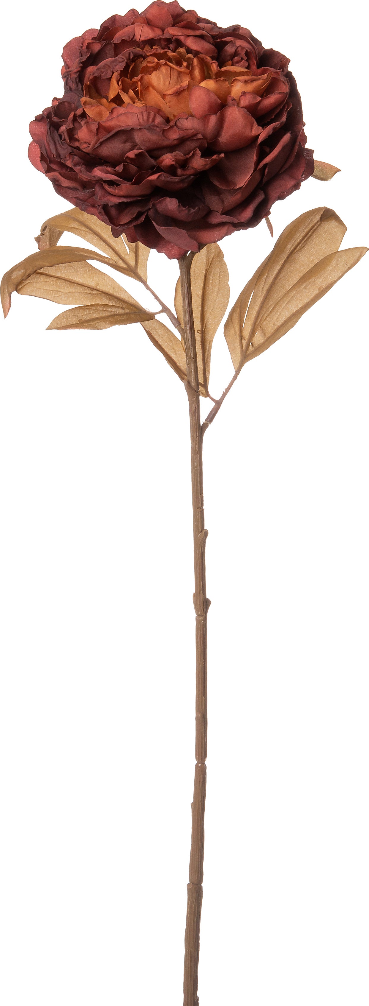 Intratuin kunstbloem Pioen 77 cm bruin