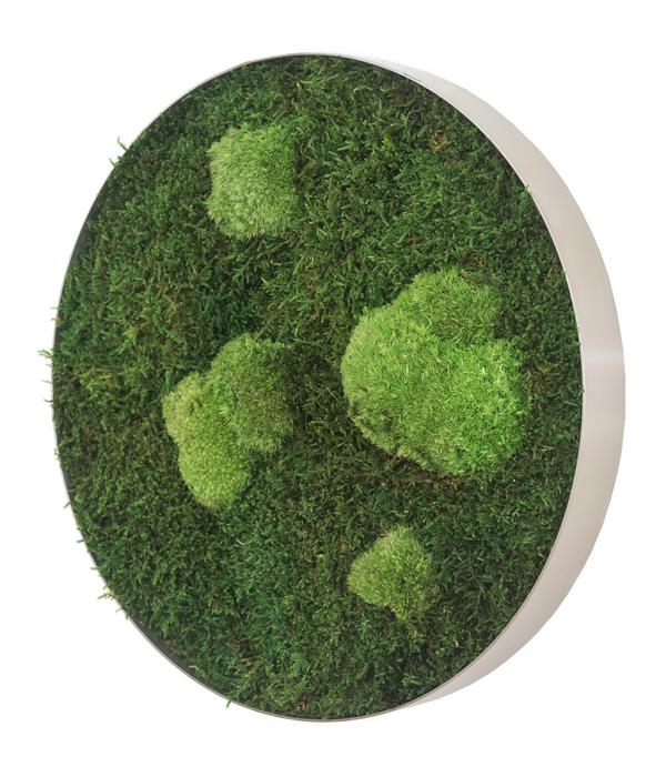 styleGREEN Bild aus Wald- und Kugelmoos,