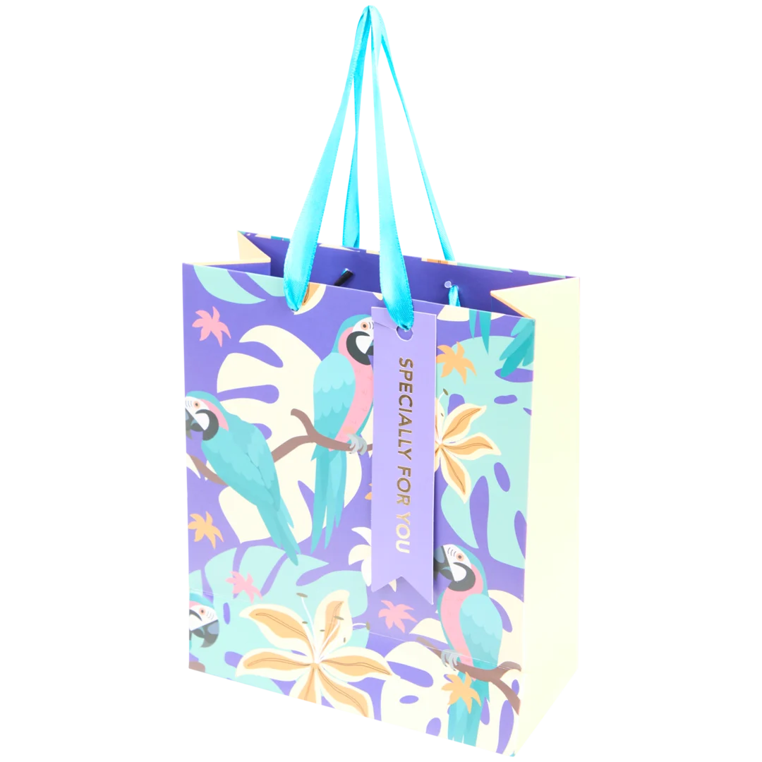 Cadeautas met folie Diverse varianten