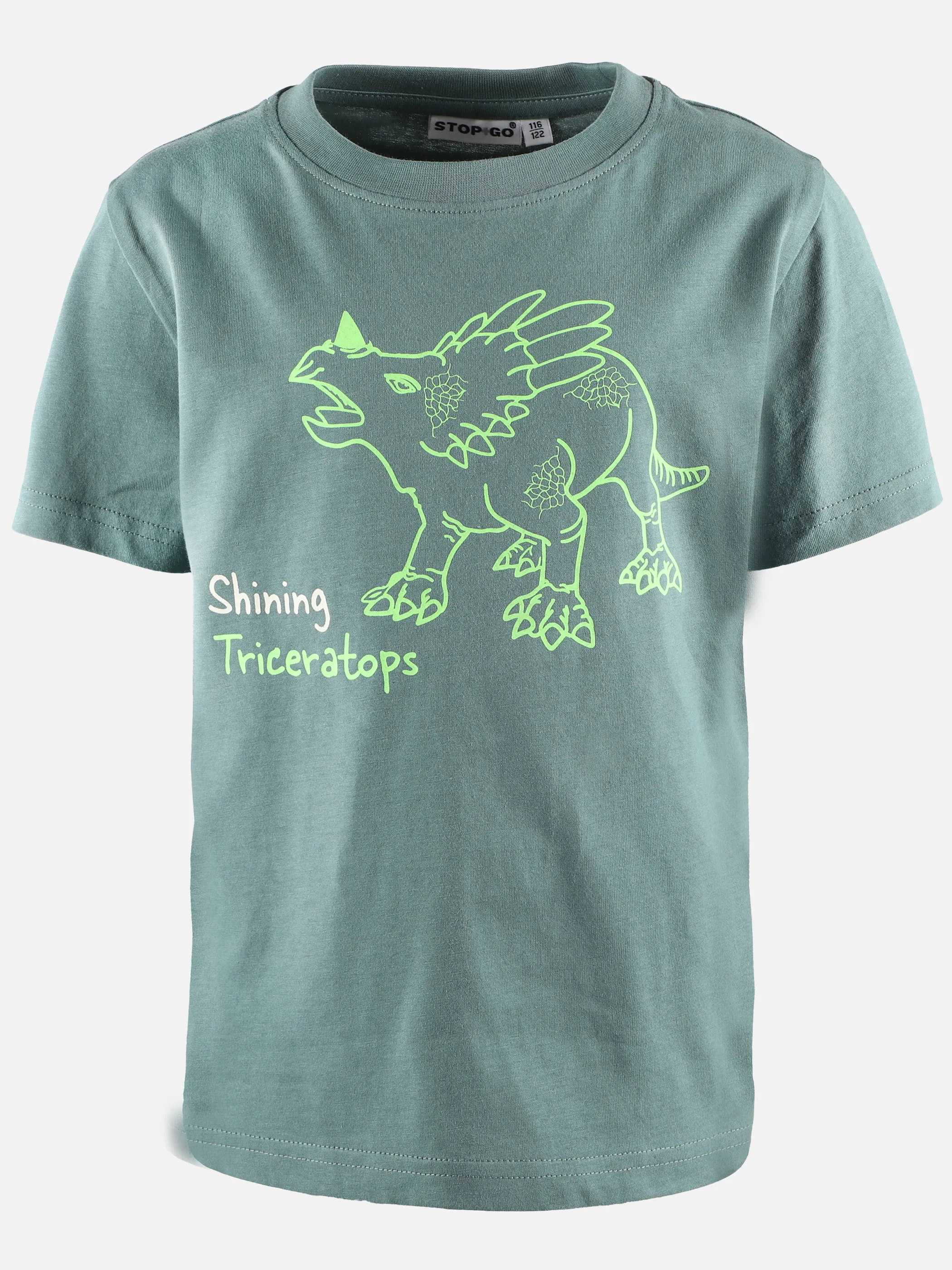 Jungen Shirt mit Dino-Leuchtmotiv