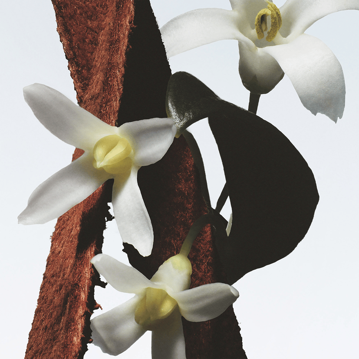 Fleur Du Mal Eau de Parfum 100ml