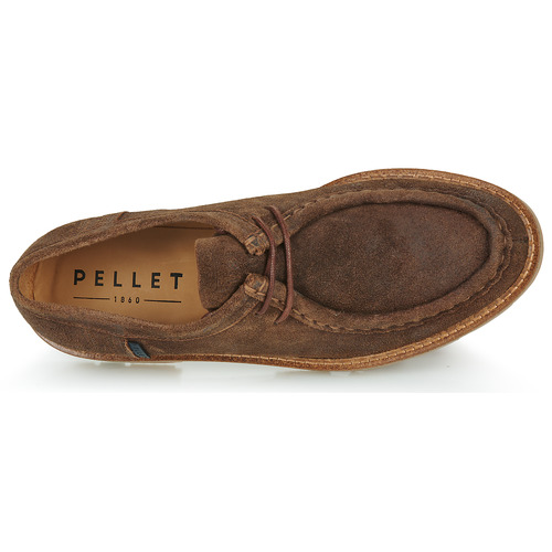 Pellet - MACHO - Velours oiled noix