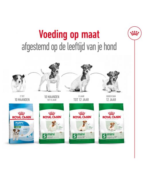 Royal Canin Mini Ageing 12+ - Hondenvoer