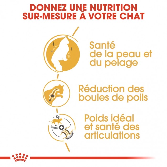 Royal Canin Norvégien Adult