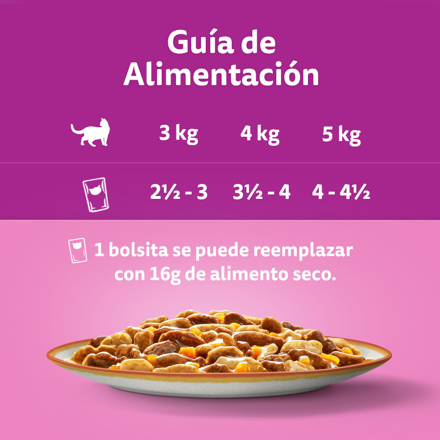 Sachês Whiskas Tasty Mix Country em Molho para Gatos - Pacote com 12
