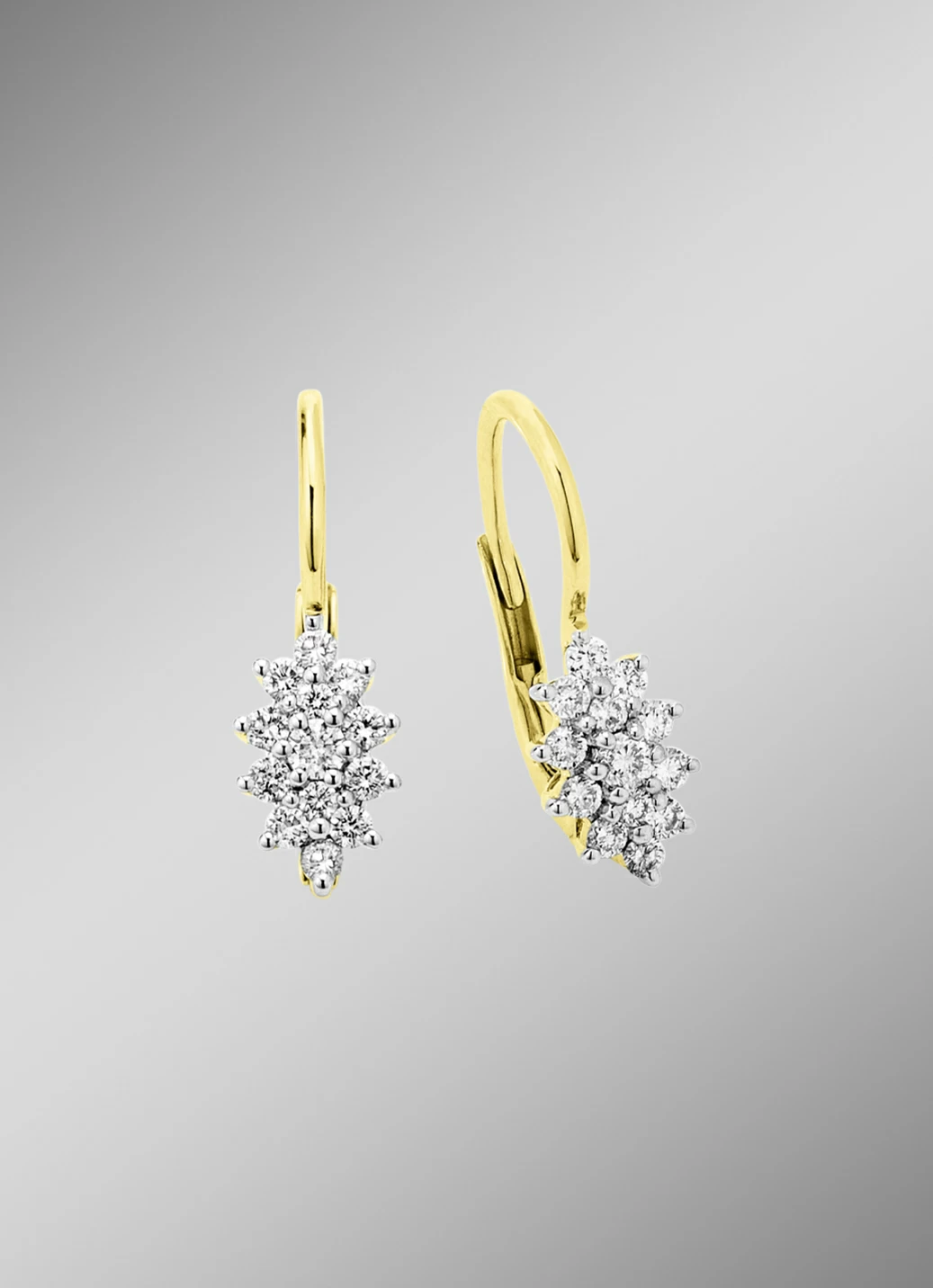 Ohrringe mit Brillanten