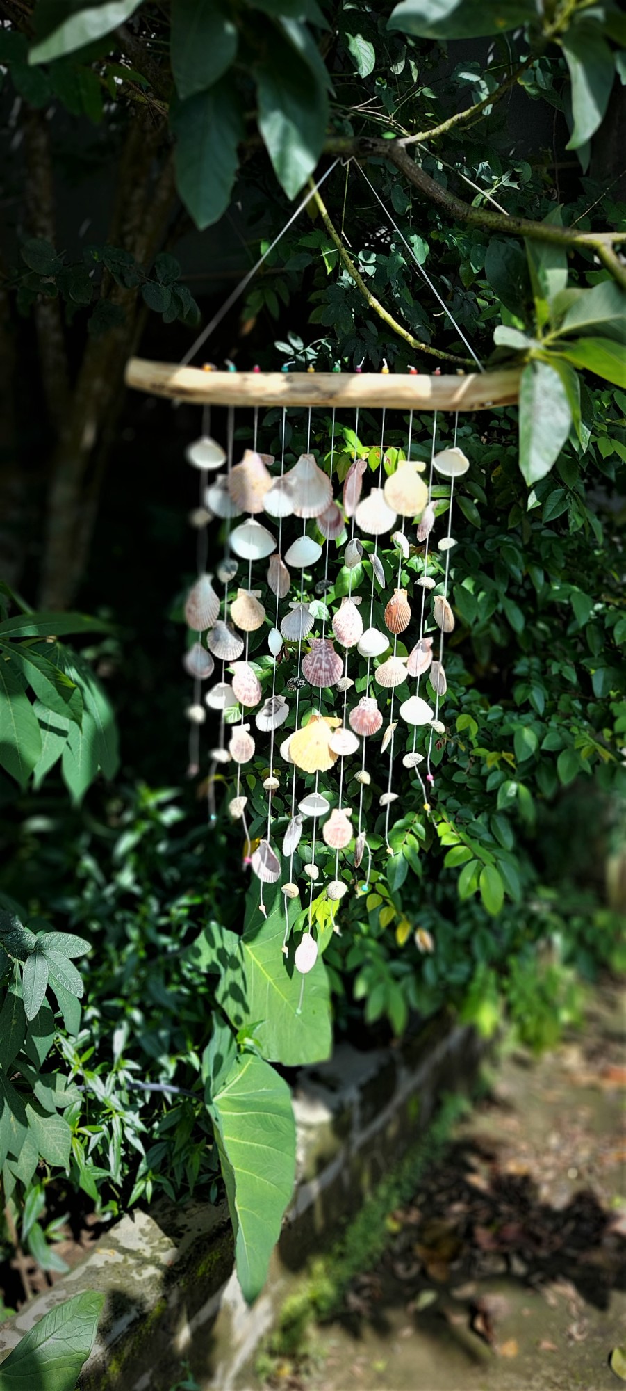 Windspiel mit Muscheln, H 65 cm, B 40 cm günstig bestellen
