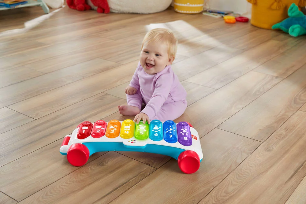 XYLOPHONE GEANT