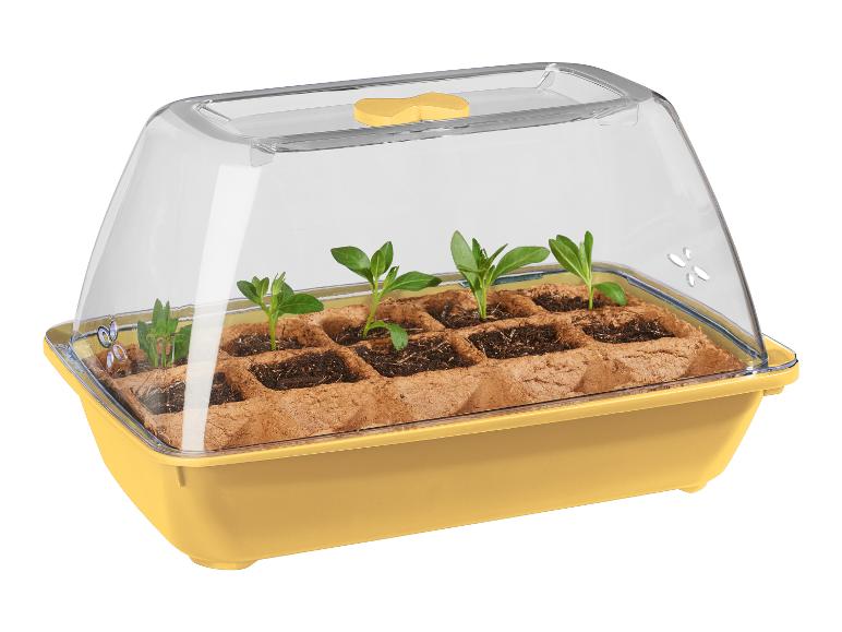 Mini-kas met biologisch zaad