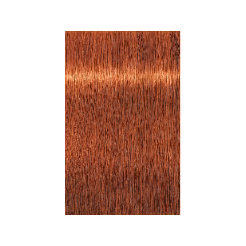 Coloration Igora Royal Schwarzkopf 60ML ( Par numéro )