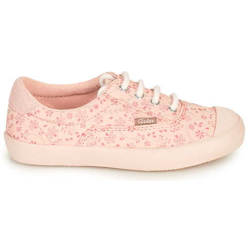 Aster - VANILIE - Rose