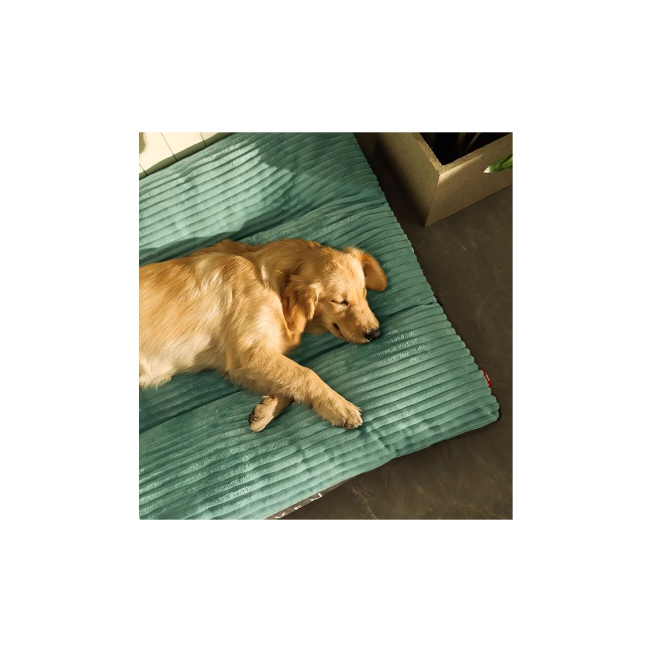 Petsation Orthopädisches Hundebett grau S