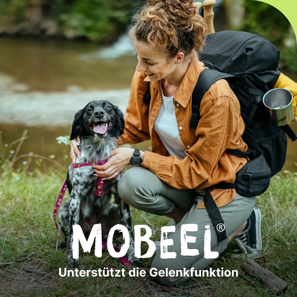 MOBEEL®
