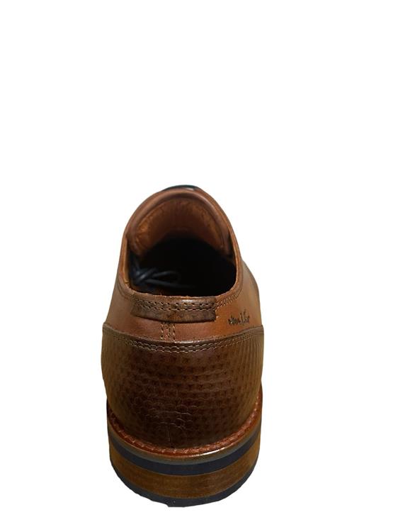 Van Lier 2418600 623 Cognac