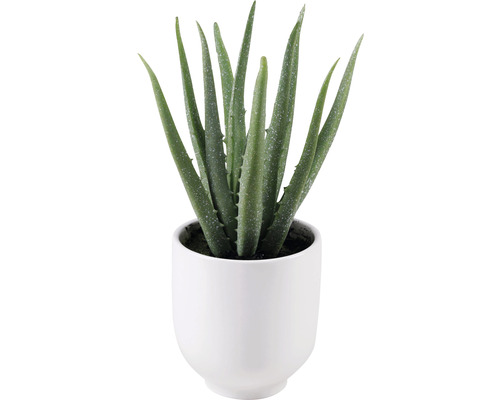 Kunstplant in keramische pot Lafiora Aloë Vera 25 cm