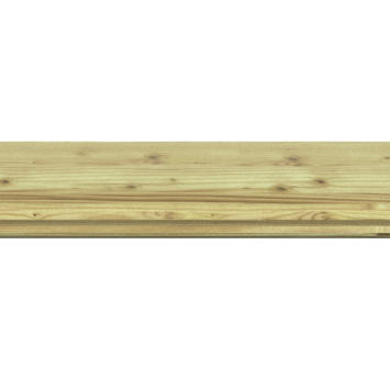 Blokhutprofiel geïmpregneerd ca. 2,8x14,5 cm, lengte ca. 180 cm